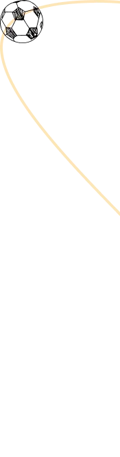 vector