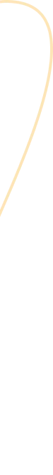vector